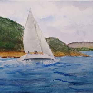 Velero