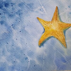 Estrella de mar